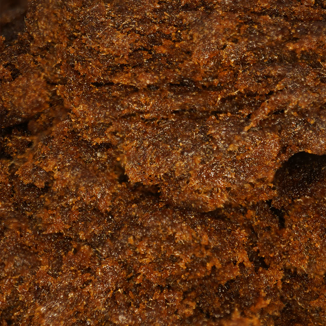 3x Filtré
