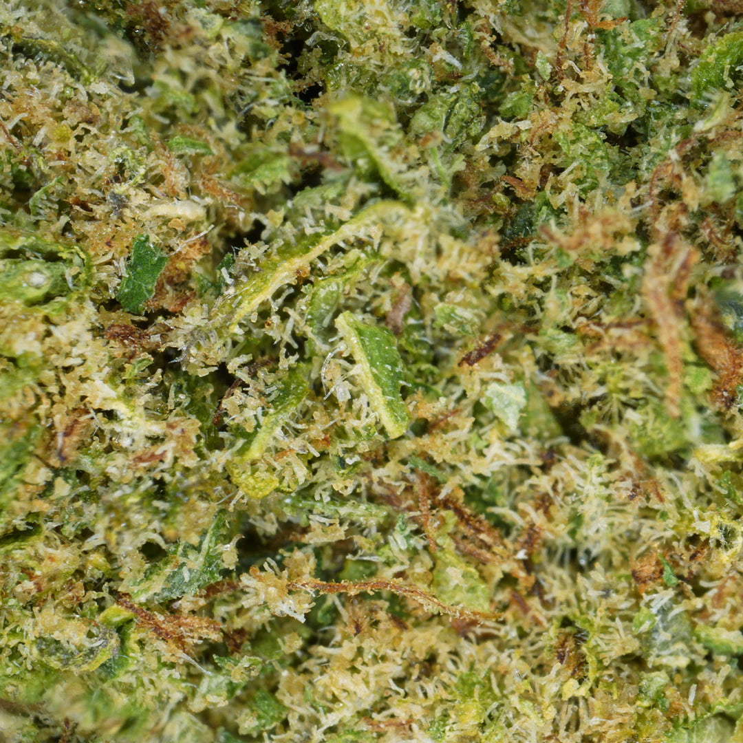 Alien Kush