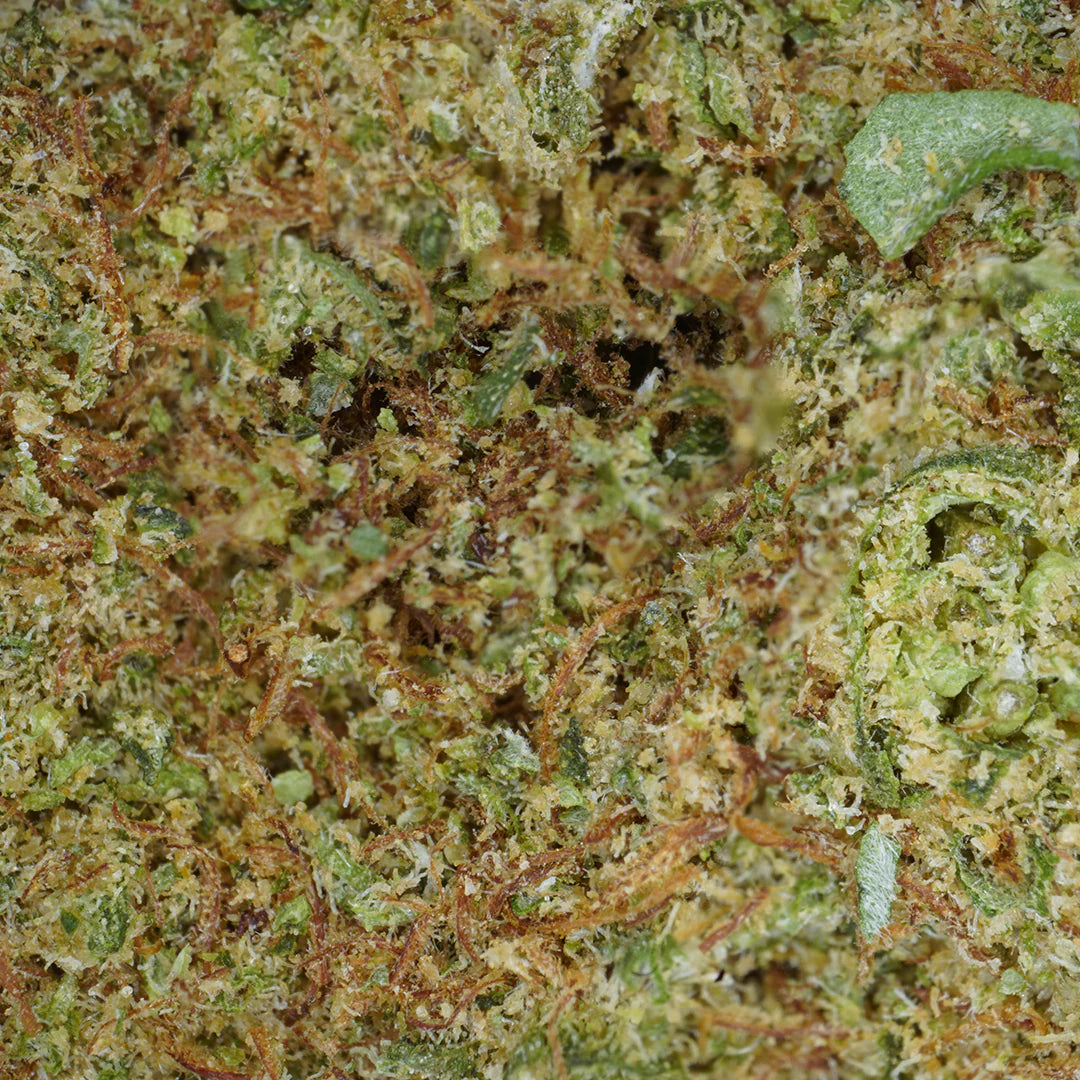 Kryptonite