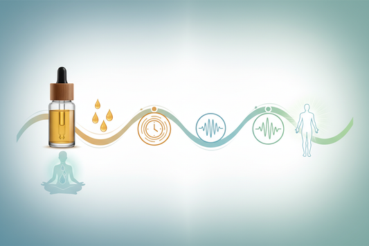 Effets immédiats de l’huile CBD : au bout de combien de temps ils se font sentir ?