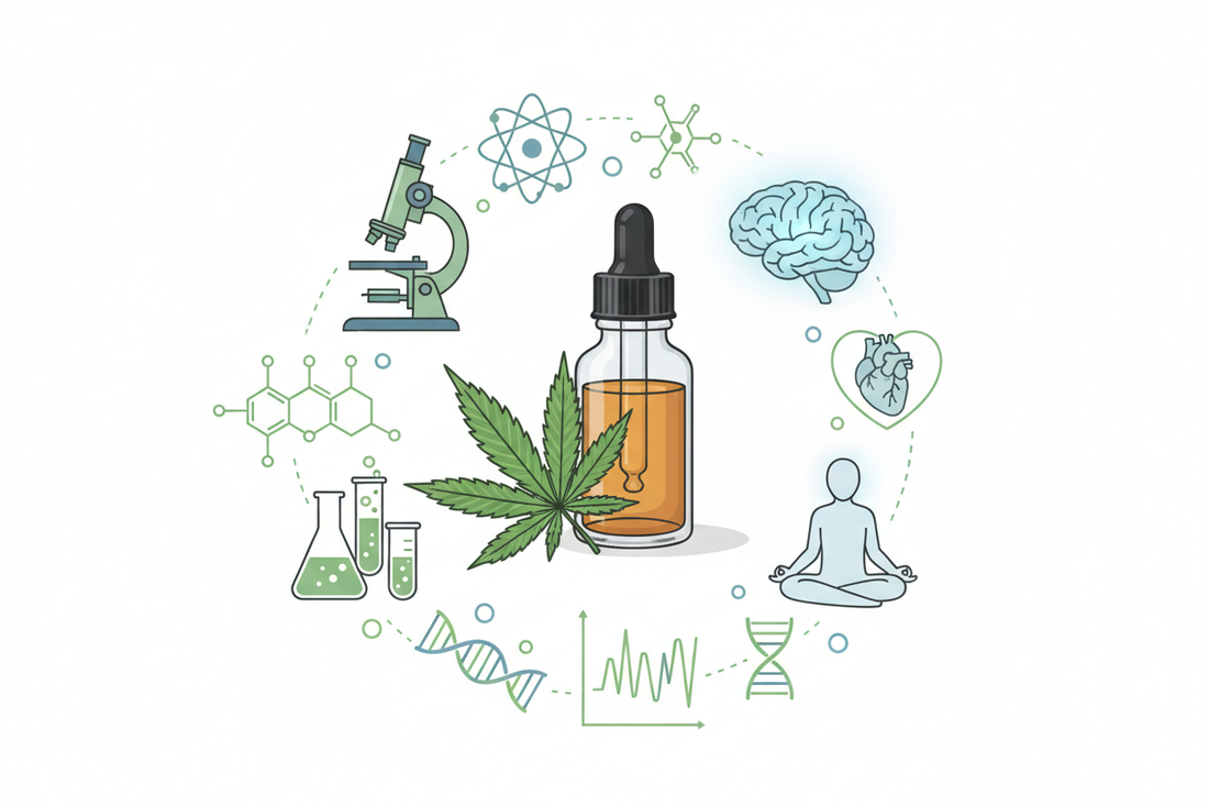 Quels sont les bienfaits du CBD avancés par la science ?
